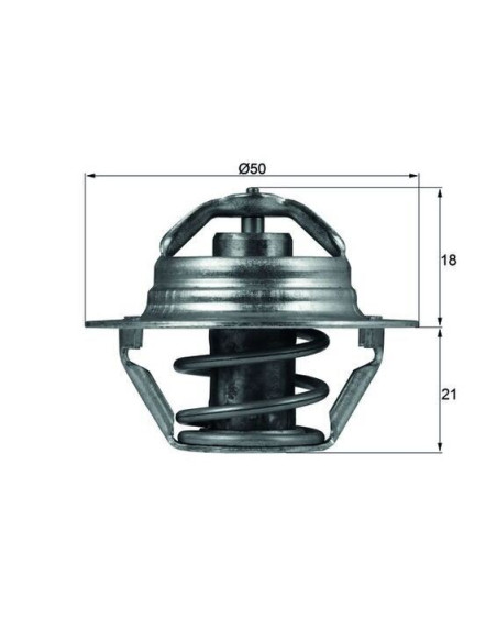 TERMOSTATO MAHLE  TX 100 89D