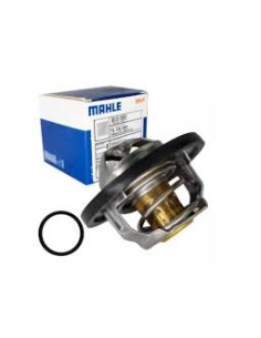 TERMOSTATO MAHLE  TX 100 89D 2