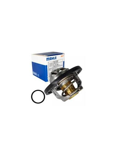 TERMOSTATO MAHLE  TX 100 89D