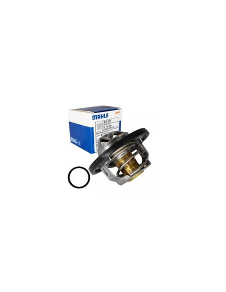 TERMOSTATO MAHLE  TX 100 89D