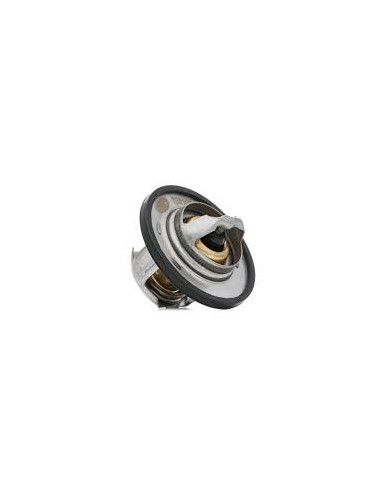 TERMOSTATO MAHLE  TX 100 89D