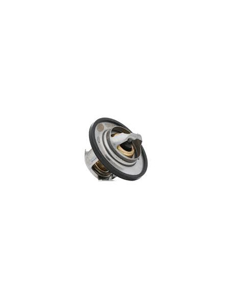 TERMOSTATO MAHLE  TX 100 89D