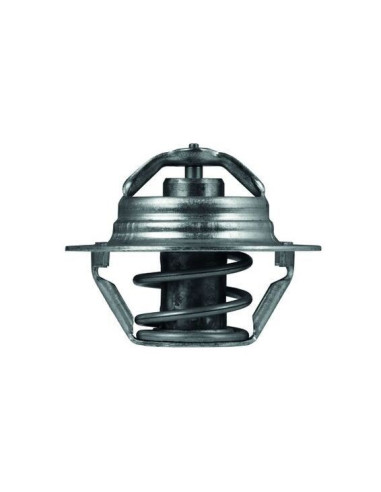 TERMOSTATO MAHLE  TX 100 89D