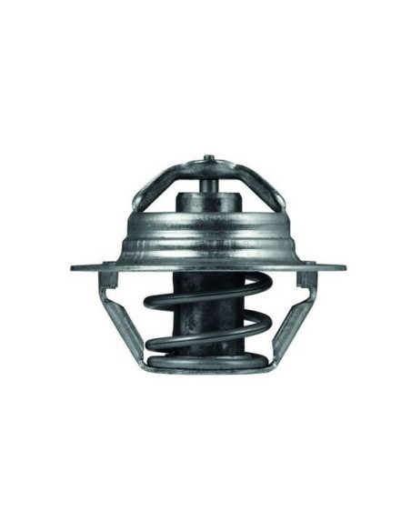 TERMOSTATO MAHLE  TX 100 89D