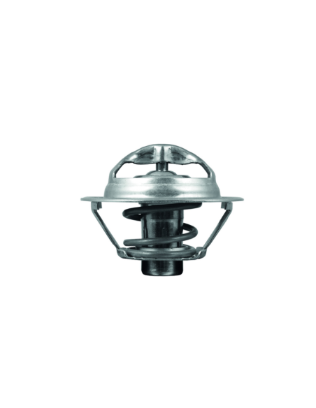 TERMOSTATO MAHLE TX 175 95D