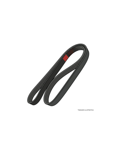 CORREA POLI-V (6-2415)