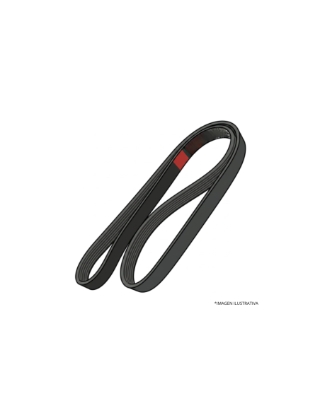 CORREA POLY-V 6PK1795 DEXCO
