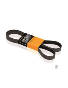 CORREA POLY-V 8PK1370