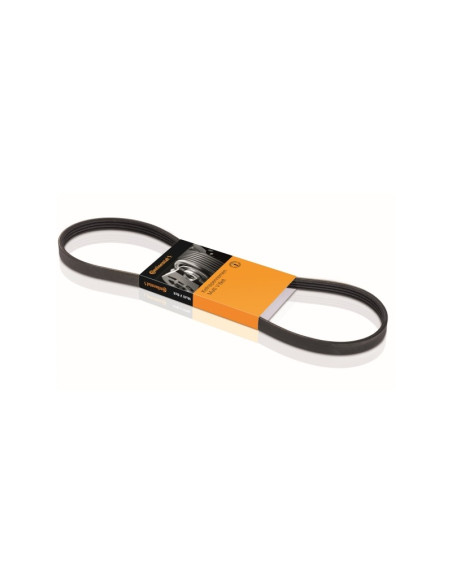 CORREA POLY-V 5PK1010