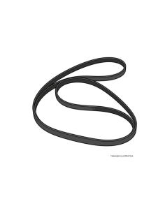 CORREA TRAPEZOIDAL-CORREA TRAPEZOIDAL