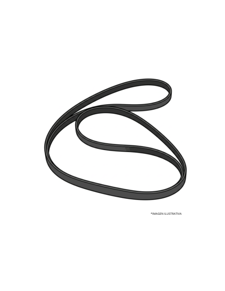 CORREA TRAPEZOIDAL-CORREA TRAPEZOIDAL