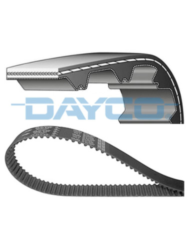 CORREA MULTI-RIB DAYCO
