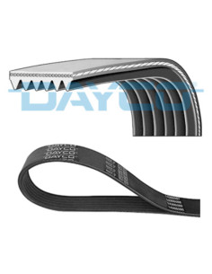 CORREA MULTI-RIB DAYCO