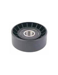 TENSOR POLEA POLY-V. FORD KA. 1.0 8V